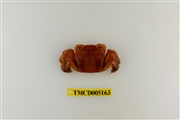 藏品(字紋弓蟹)的圖片